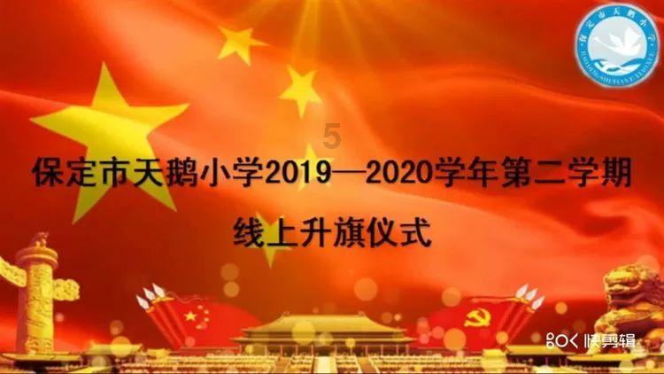 金刚鹦鹉逃生